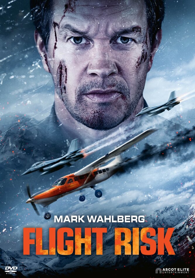 Flight Risk poster