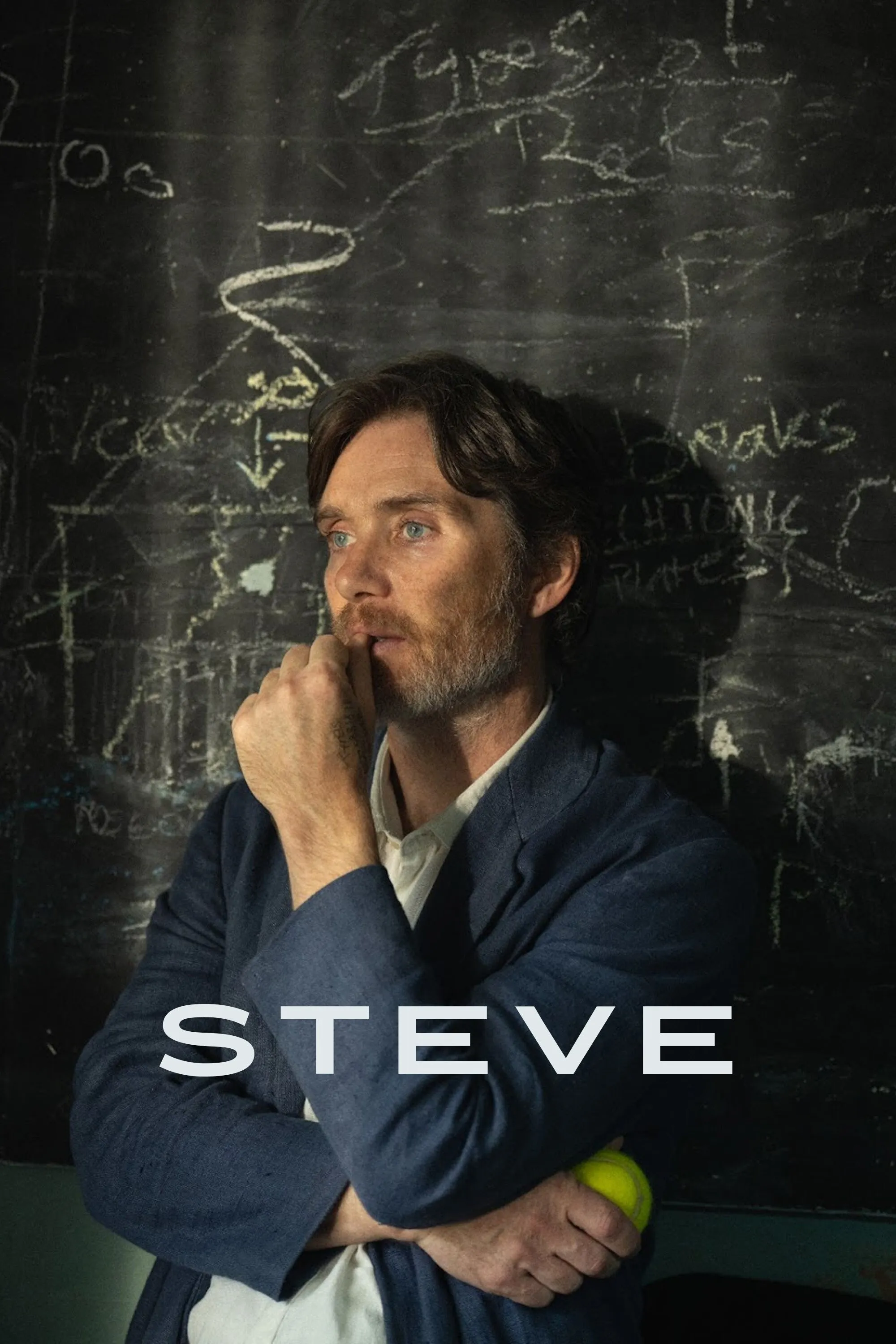 Steve poster