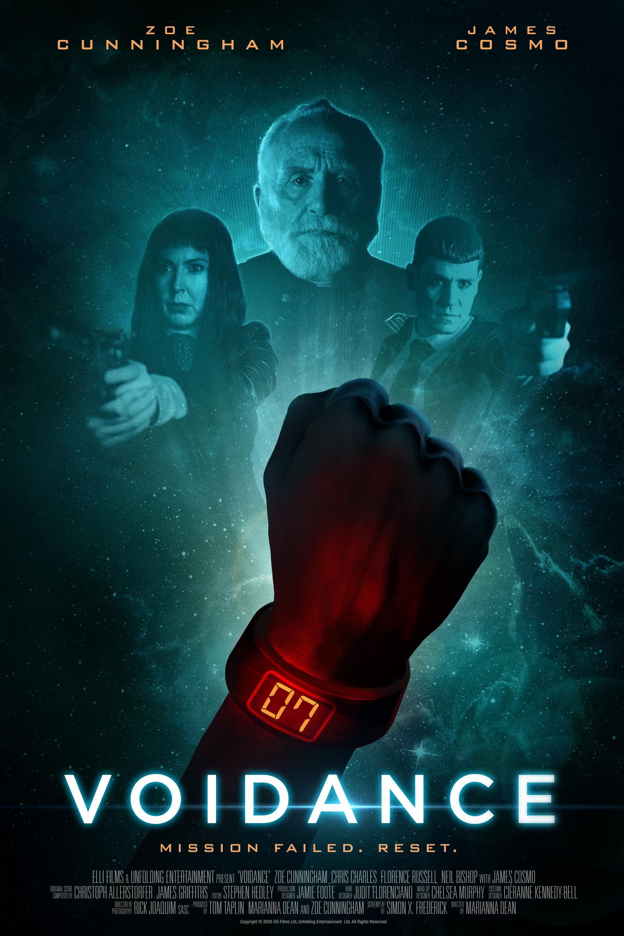 Voidance poster