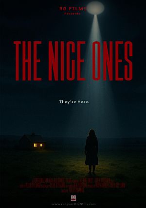 The Nice Ones poster