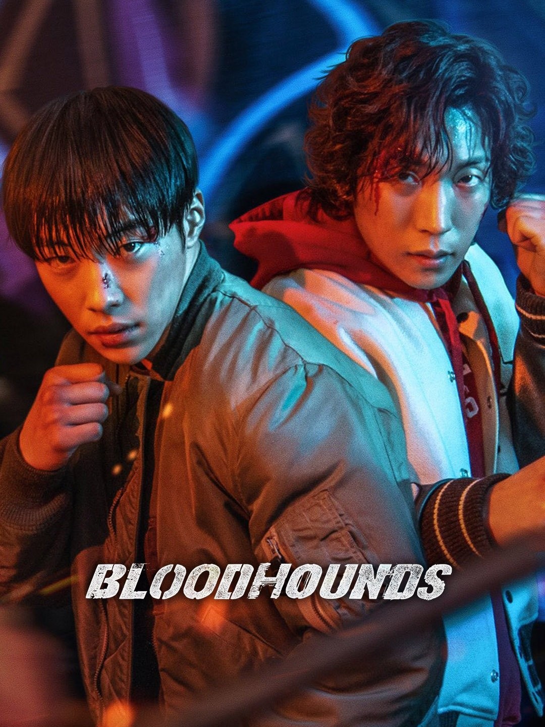 Bloodhounds poster